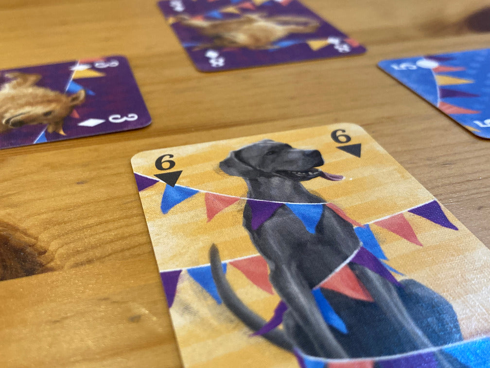 ワースト・イン・ショー