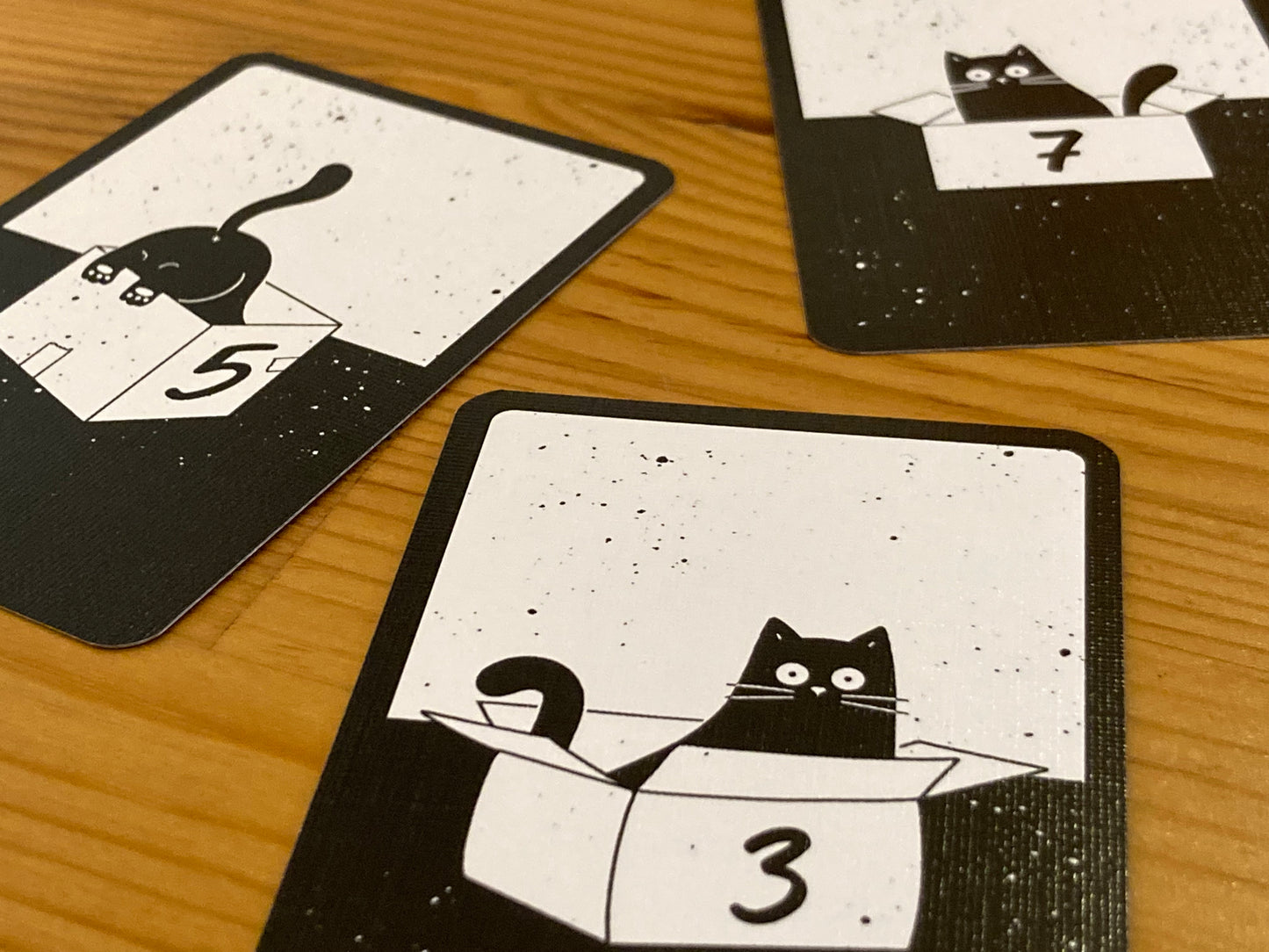 キャットオアキャット